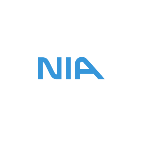 Network In Action Logo